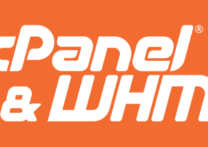 cPanel WHM Özel NS (NameServer) Adresi Oluşturma