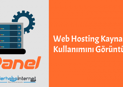 cPanel ile Web Sitenizin Kullanım İstatistiklerini Görüntüleme
