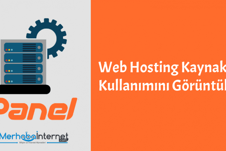 cPanel ile Web Sitenizin Kullanım İstatistiklerini Görüntüleme
