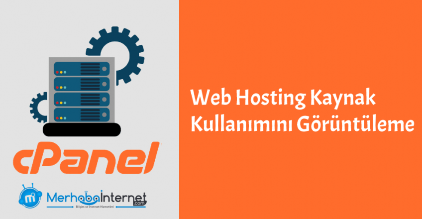 cpanel web hosting kaynak kullanimi