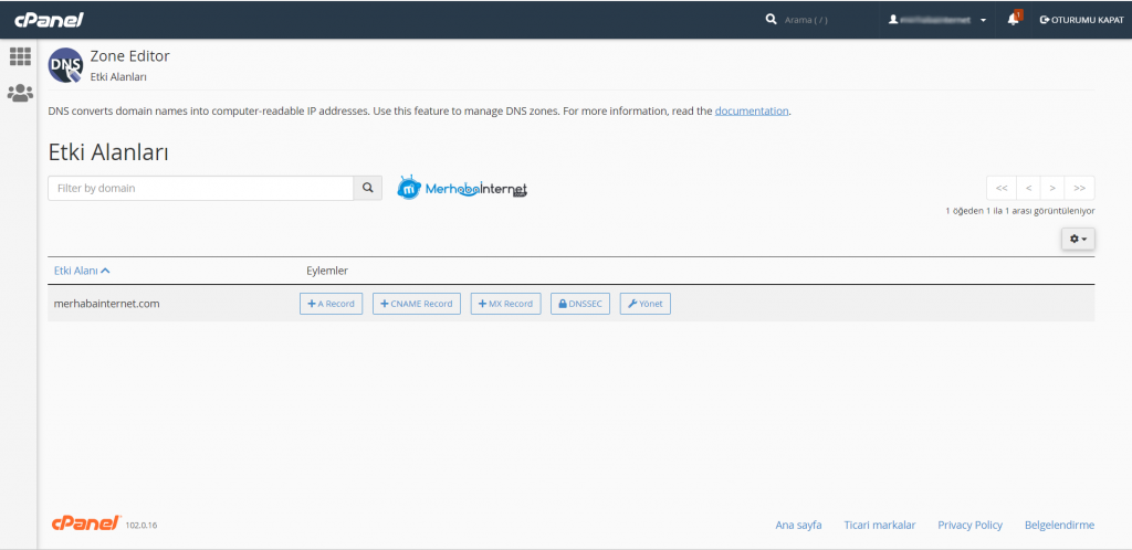 3 Adımda cPanel WHM Özel NS (NameServer) Adresi Oluşturma