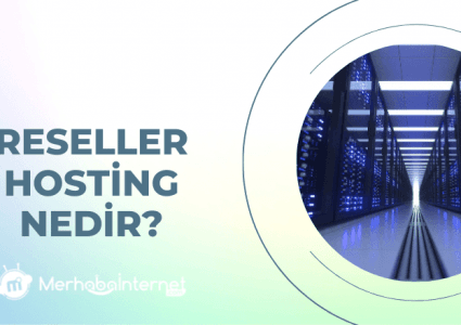 Reseller (Bayi) Hosting Nedir ? Kimler Tercih Etmelidir ?