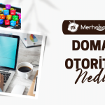 Domain Otoritesi Nedir, Kaç Olmalıdır?