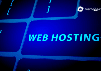 Hosting Ücreti Ödenmezse Ne Olur?