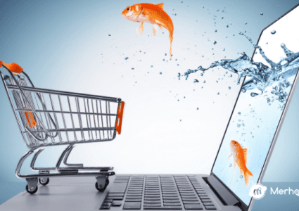 E Ticaret Hosting Nedir? Ne İşe Yarar?