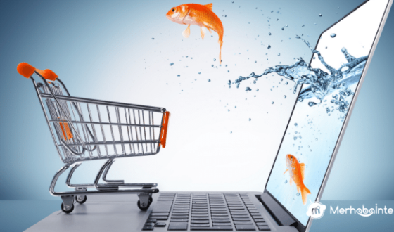 E Ticaret Hosting Nedir? Ne İşe Yarar?
