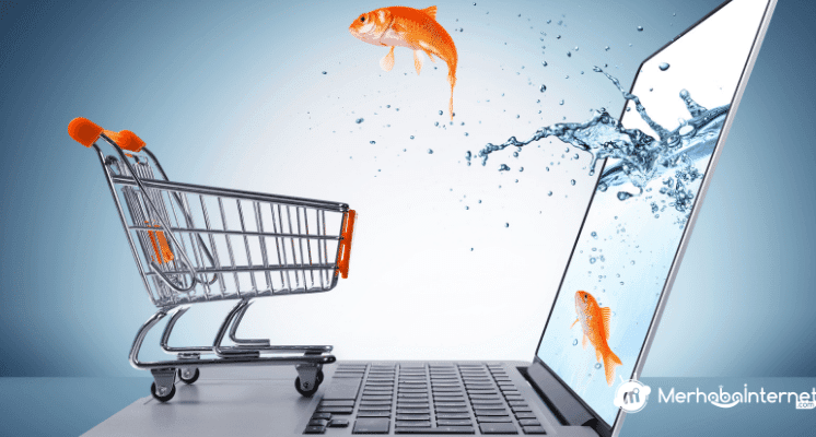 E Ticaret Hosting Nedir? Ne İşe Yarar?