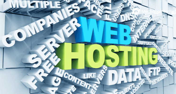 Hosting Bilgileri Öğrenme