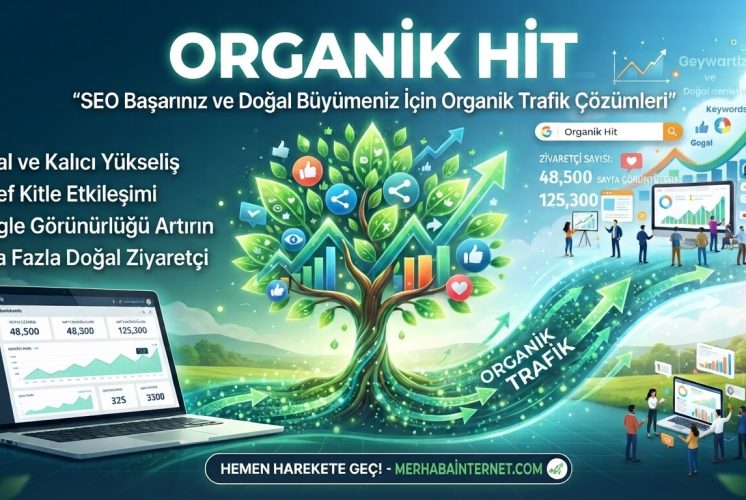 Organik Hit Nedir, Hit Gönderme Siteleri Gerçekten İşe Yarar mı?